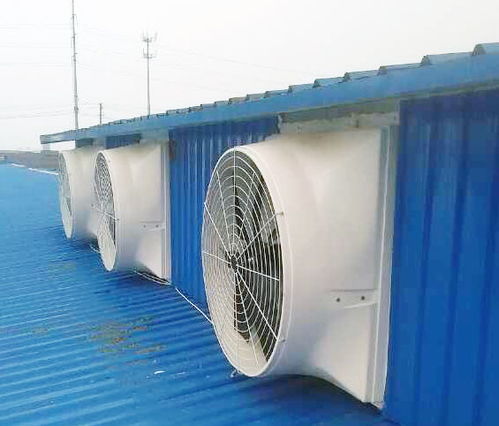 无动力屋顶风机报价与厂家选择指南